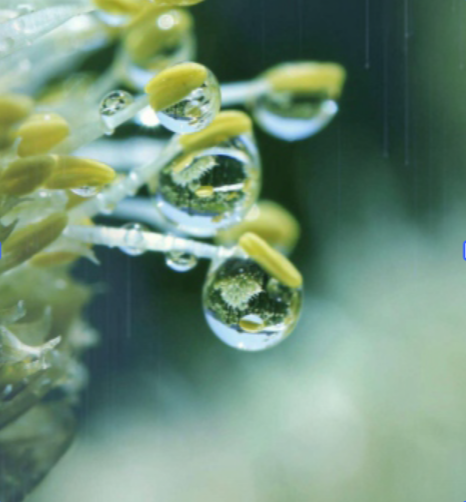 image of aquaculture