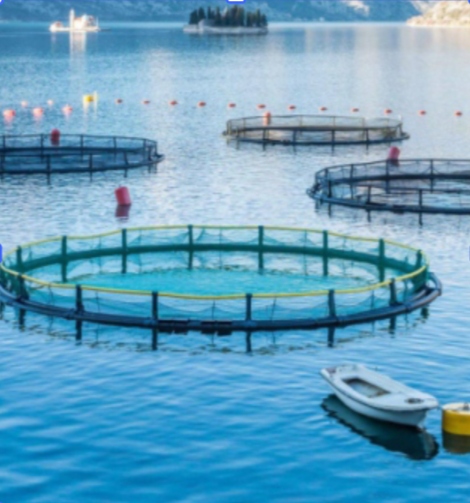 image of fishing activiities