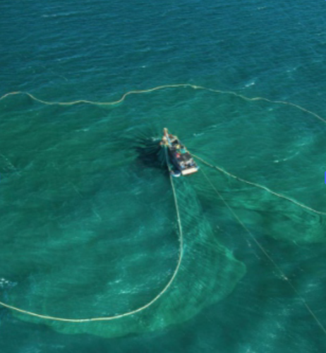 image of fishing industry