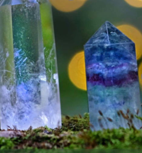 image of sea treasure